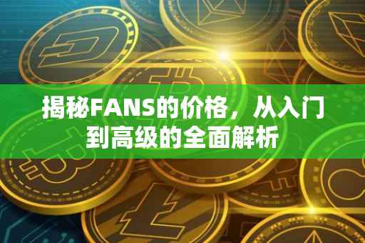 揭秘FANS的价格，从入门到高级的全面解析