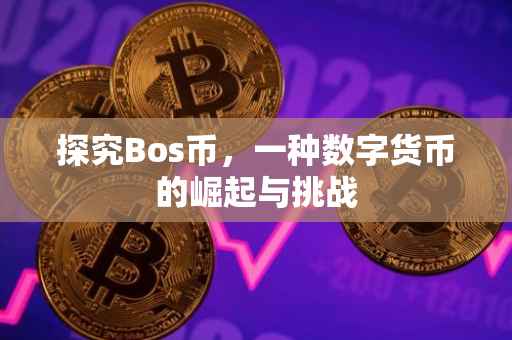 探究Bos币，一种数字货币的崛起与挑战