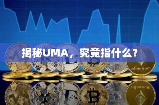 揭秘UMA，究竟指什么？