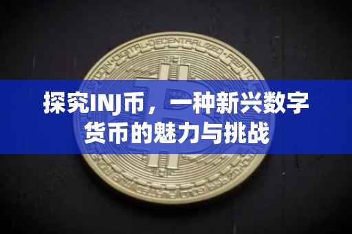 探究INJ币，一种新兴数字货币的魅力与挑战