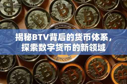 揭秘BTV背后的货币体系，探索数字货币的新领域
