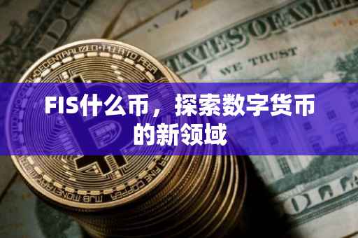 FIS什么币，探索数字货币的新领域
