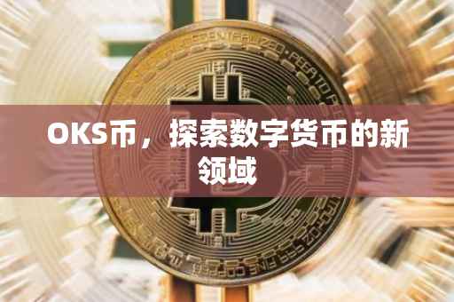 OKS币，探索数字货币的新领域
