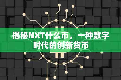揭秘NXT什么币，一种数字时代的创新货币