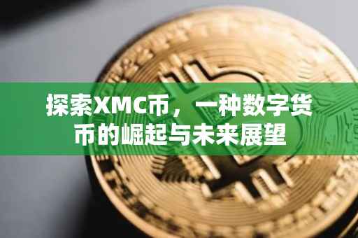探索XMC币，一种数字货币的崛起与未来展望