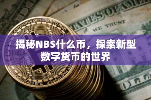揭秘NBS什么币，探索新型数字货币的世界