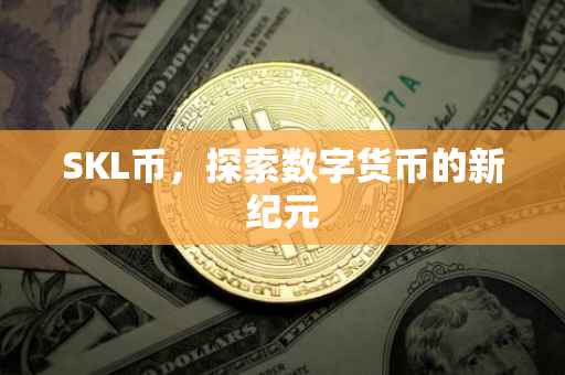 SKL币，探索数字货币的新纪元