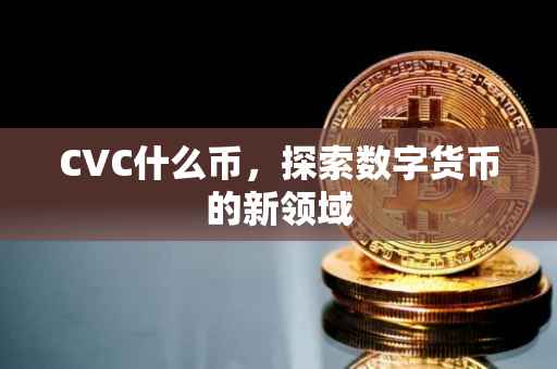 CVC什么币，探索数字货币的新领域