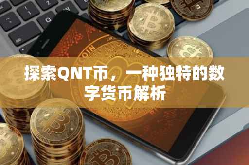 探索QNT币，一种独特的数字货币解析