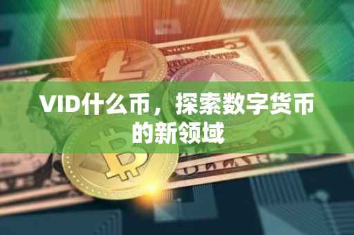 VID什么币，探索数字货币的新领域