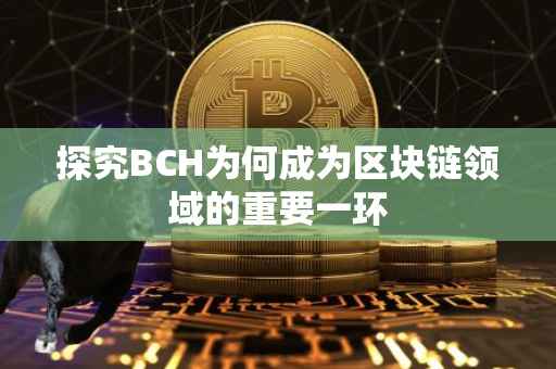 探究BCH为何成为区块链领域的重要一环