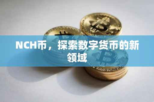 NCH币，探索数字货币的新领域