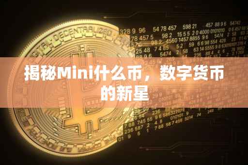 揭秘Mini什么币，数字货币的新星