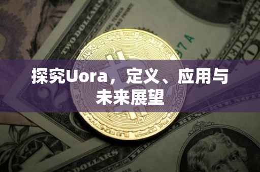 探究Uora，定义、应用与未来展望