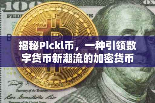 揭秘Pickl币，一种引领数字货币新潮流的加密货币