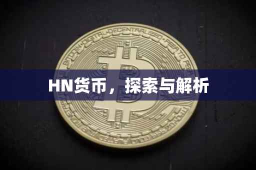 HN货币，探索与解析