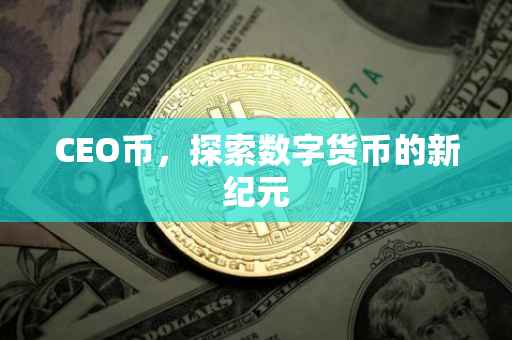 CEO币，探索数字货币的新纪元