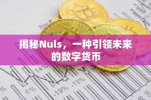 揭秘Nuls，一种引领未来的数字货币