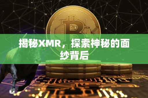 揭秘XMR，探索神秘的面纱背后