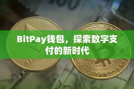 BitPay钱包，探索数字支付的新时代