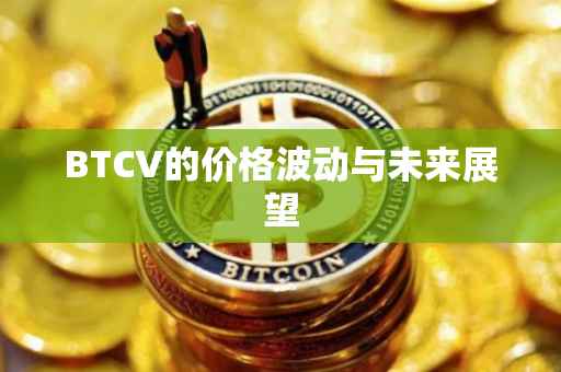 BTCV的价格波动与未来展望