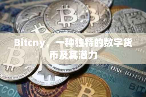 Bitcny，一种独特的数字货币及其潜力
