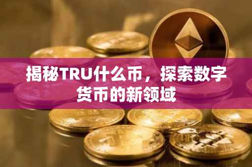 揭秘TRU什么币，探索数字货币的新领域