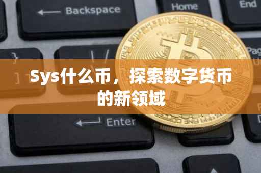 Sys什么币，探索数字货币的新领域