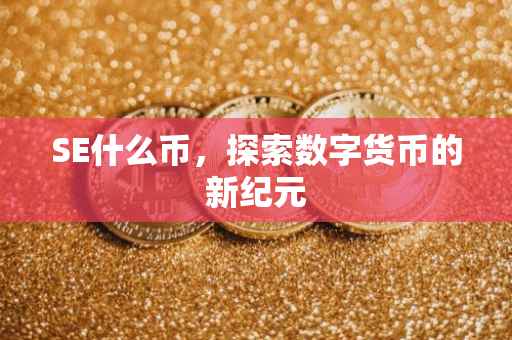 SE什么币，探索数字货币的新纪元