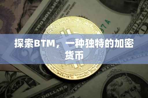 探索BTM，一种独特的加密货币