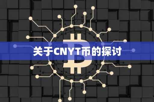 关于CNYT币的探讨