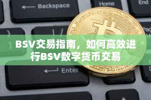 BSV交易指南，如何高效进行BSV数字货币交易