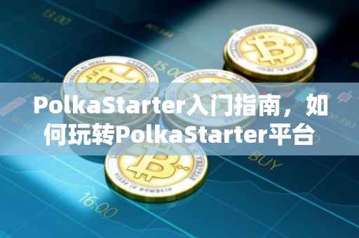 PolkaStarter入门指南，如何玩转PolkaStarter平台