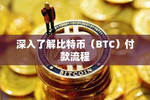 深入了解比特币（BTC）付款流程