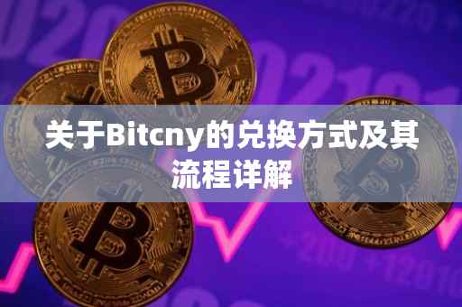关于Bitcny的兑换方式及其流程详解