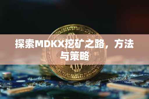探索MDKX挖矿之路，方法与策略