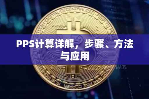 PPS计算详解，步骤、方法与应用
