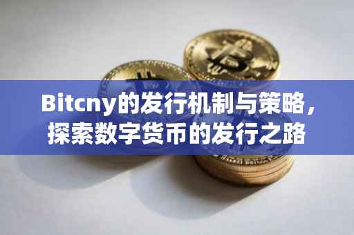 Bitcny的发行机制与策略，探索数字货币的发行之路