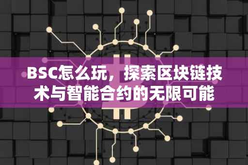 BSC怎么玩，探索区块链技术与智能合约的无限可能