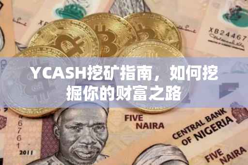YCASH挖矿指南，如何挖掘你的财富之路