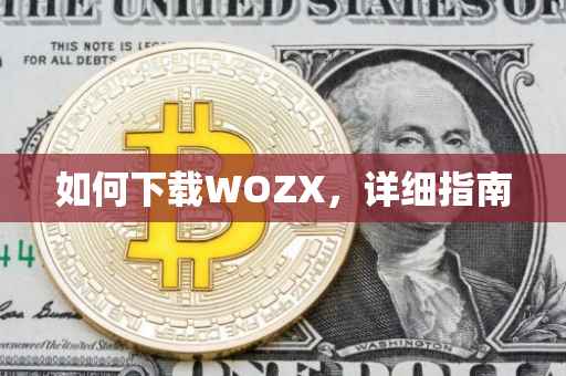 如何下载WOZX，详细指南