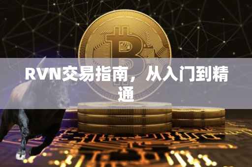 RVN交易指南，从入门到精通
