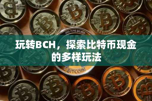 玩转BCH，探索比特币现金的多样玩法
