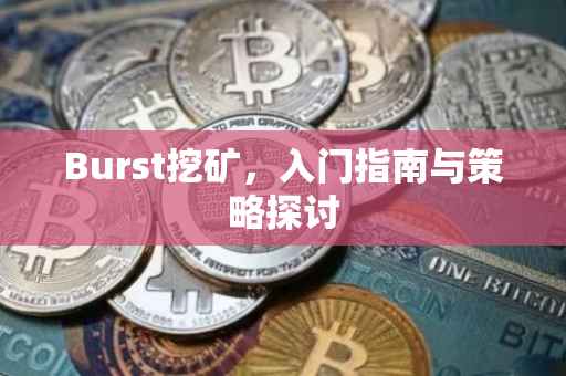 Burst挖矿，入门指南与策略探讨