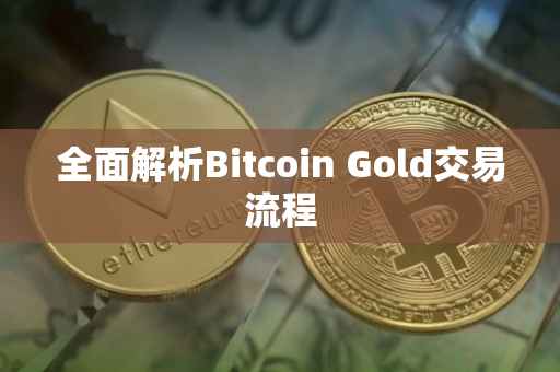 全面解析Bitcoin Gold交易流程
