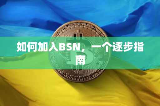 如何加入BSN，一个逐步指南