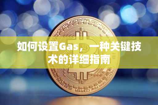 如何设置Gas，一种关键技术的详细指南