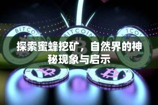 探索蜜蜂挖矿，自然界的神秘现象与启示