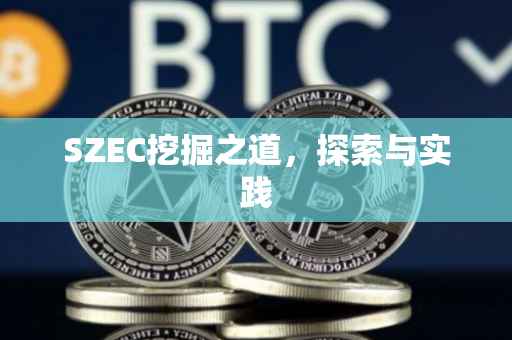 SZEC挖掘之道，探索与实践