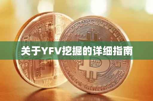 关于YFV挖掘的详细指南